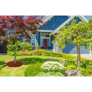 PLAYSAFER Rubber Tree Ring 36"