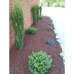 PLAYSAFER Landscape Rubber Mulch Cocoa Brown