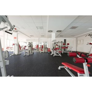 PLAYSAFER Rubber Gym Roll - Geneflex